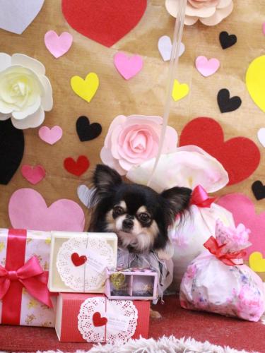 20230223アリューくん